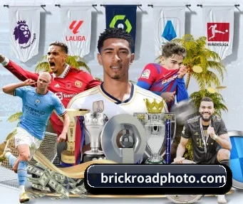 mksports在线登录入口 APP
